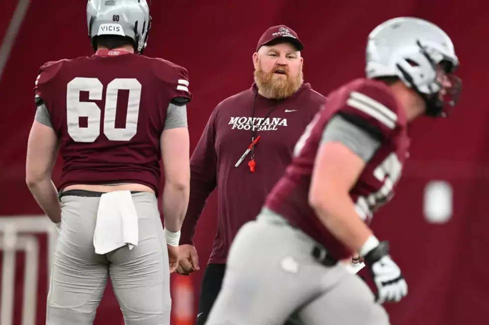 Coach Cameron Norcross hard at work. Credit: University of Montana Athletics